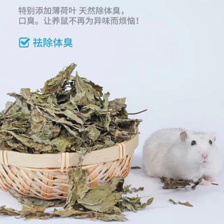 อาหารหนูแฮมเตอร์ Hamster Food [Luxury formula 50%]🐹 สำหรับแฮมเตอร์ทุกสายพันธุ์,แกสบี้,กระรอก ขนาด 490~500 g.