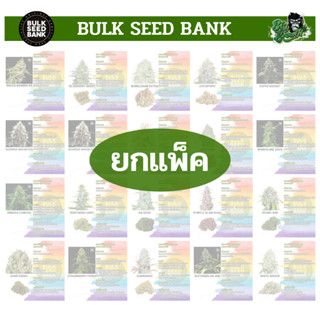 เมล็ดกัญชาเพศเมีย 100% โฟโต้ จำนวน 10เมล็ด ค่าย BulkSeedbank จากประเทศสโลวิเนีย