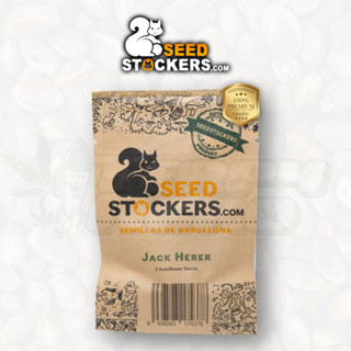 Jack Herer (Auto) - Seedstockers เมล็ดกัญชา นำเข้าแท้100% เมล็ดเพศเมีย