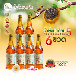 🌳น้ำผึ้งเกสรดอกไม้ป่าเดือน5 แท้ ตราผาตะวัน🐝ชุด 6 ขวด🍯