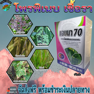 แอนนา70 1กิโลกรัม ราแป้งมะม่วง ราดำลำไย ข้าวเมล็ดด่าง ใบไหม้ข้าว กาบใบแห้ง แอนแทคโนสแตงกวา ราชาเต่าเกษตร