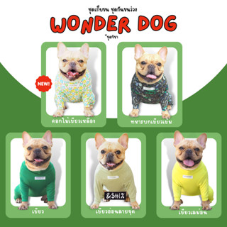 ชุดเก็บขน wonder dog เสื้อสุนัข เสื้อแมว ชุดกันขนร่วง ชุดหมาชุดแมว โทนสีเลม่อน