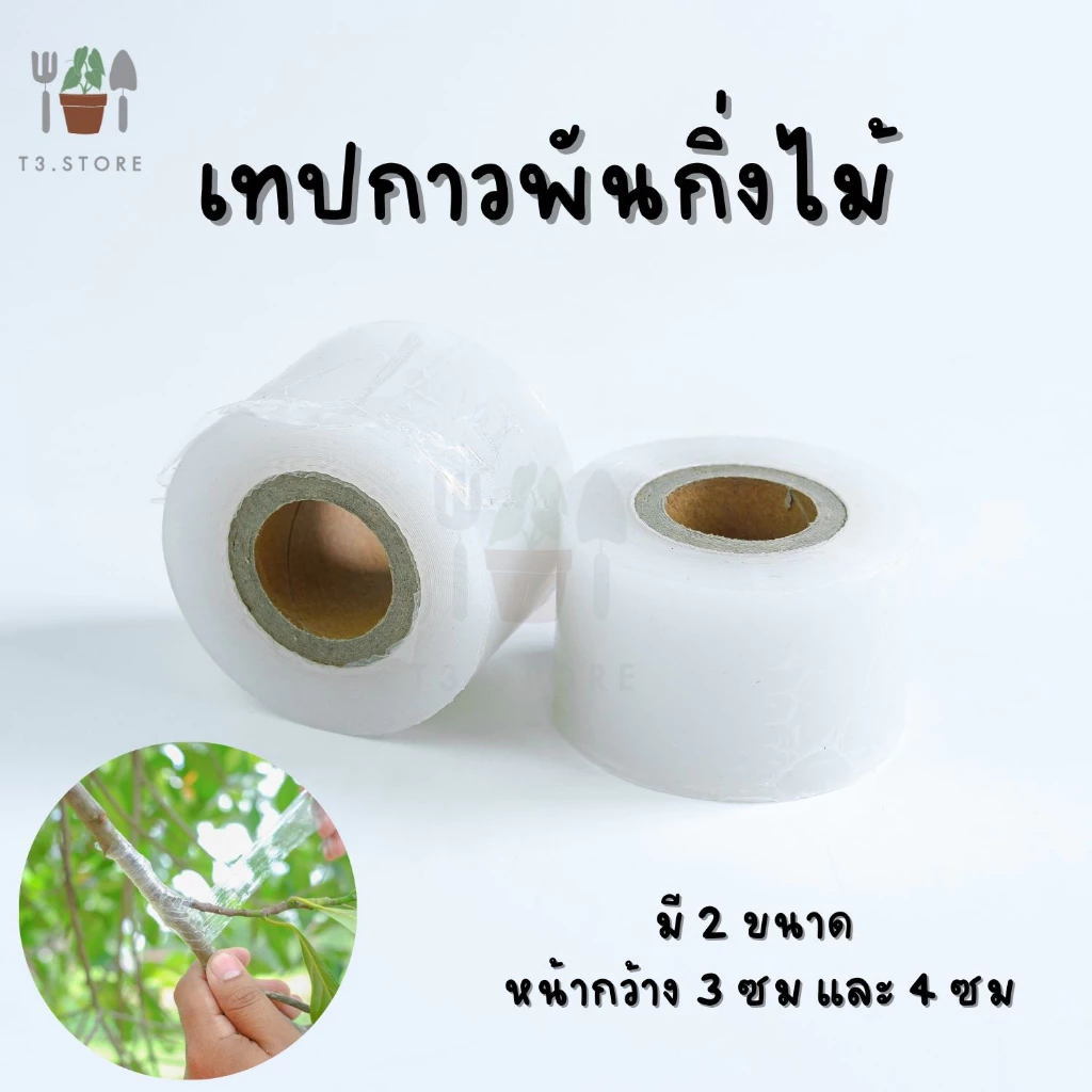 เทปพันกิ่งไม้ เทปพันกิ่งทาบ เทปพันตา หน้ากว้าง 3,4,5 ซม หนา ทนทาน คุณภาพดี ส่งของทุกวัน ส่งของจากไทย