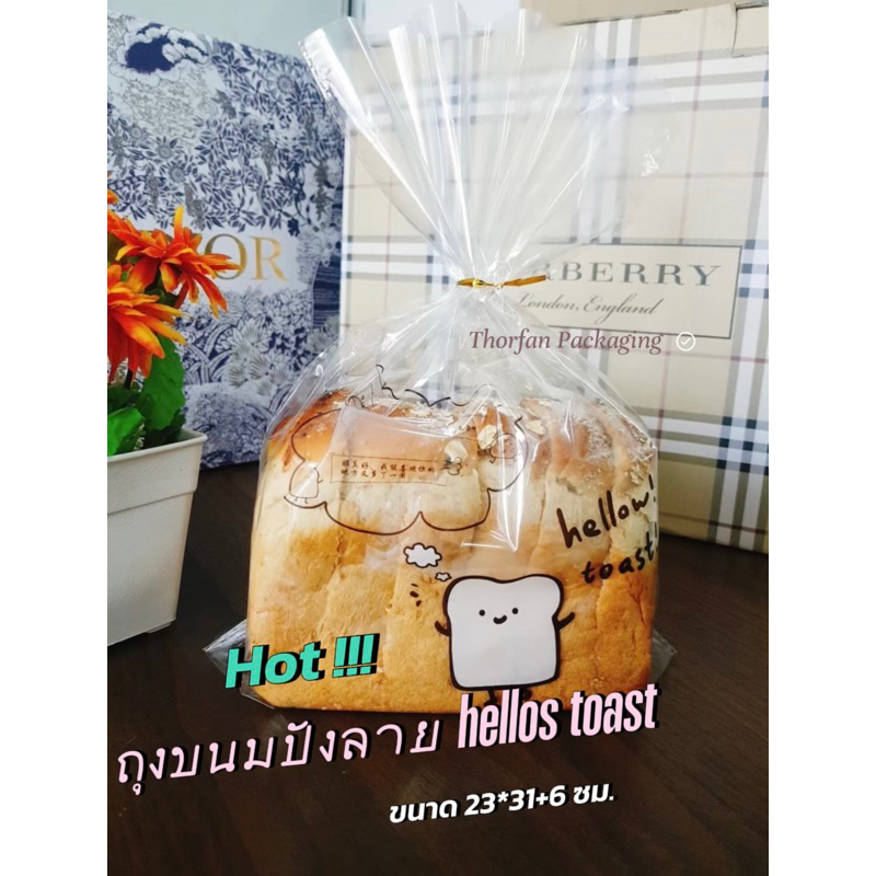 ถุงขนมปังแผ่น ขนมปังโทสต์ ลายน่ารัก TF023