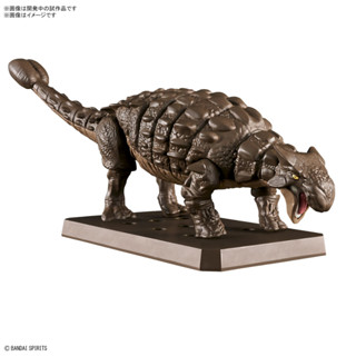 [Pre-Order] Planosaurus Ankylosaurus ***อ่านรายละเอียดก่อนสั่ง