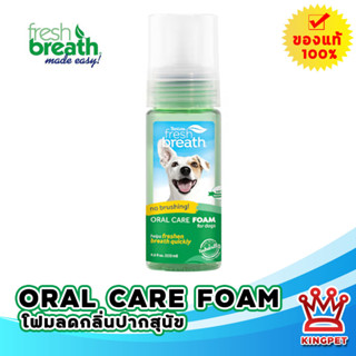 Fresh Breath Mint Foam ลดกลิ่นปากและหินปูน(มิ้นท์) 133 ML