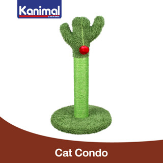 Kanimal Cactus Tree ของเล่นแมว คอนโดแมว ที่นอนแมว ต้นกระบองเพชรพร้อมลูกบอล สำหรับแมว Size L ขนาด 65x40x40 ซม.