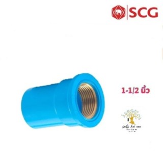 SCG ต่อตรงเกลียวใน ทองเหลือง (Brass Faucet Socket) ท่อหนา อุปกรณ์ท่อประปา PVC สีฟ้า ขนาด 1-1/2  นิ้ว