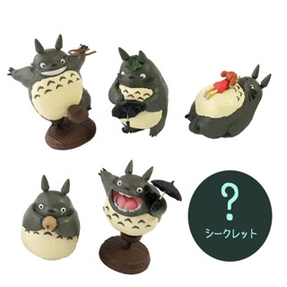 [ส่งตรงจากญี่ปุ่น] Studio Ghibli My Neighbor Totoro Collection Totoro Set Ii 6 แบบ ใหม่ จากญี่ปุ่น