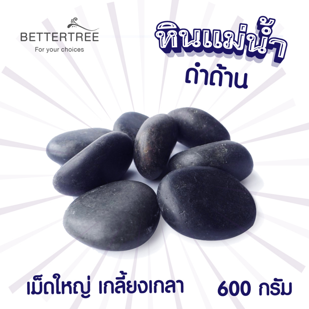 หินดำด้าน 600 กรัม หินตกแต่งกระถางต้นไม้ หิน หินสี