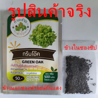 ทำมะชาดฟาร์ม (ซื้อ10แถม1) เมล็ดพันธุ์ กรีนมินิคอส ขนาด0.5กรัม ประมาณ500เมล็ด GREEN MINICOS ROMAINE LETTUCE เบบี้คอส