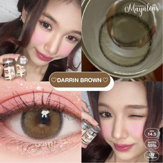 Mayalens บิ๊กอาย คอนเเทคเลนส์ Bigeye Darrin