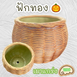 กระถางเซรามิก ทรงฟักทอง เผาแกร่ง กว้าง 3 นิ้ว สูง 3.5 นิ้ว