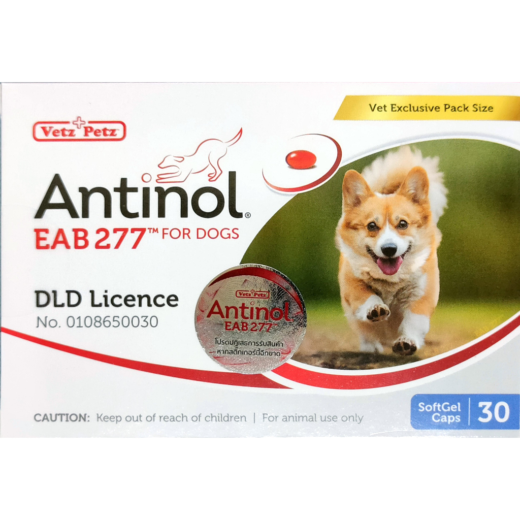 Antinol 30 capsules (EAB 277) สูตรใหม่ หมดอายุ 09/24 สินค้าของแท้ ฉลากไทย อาหารบำรุงข้อสำหรับสุนัข