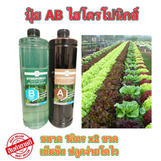 *ค่าส่งถูก* สารละลาย AB (1000mlx2ขวด)ไฮโดรโปนิกส์ เอบี ธาตุอาหาร ผักไฮโดร Hydroponics ผักสลัด ผักไทย ผักจีน clearance