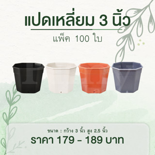 100 ใบ กระถางแคคตัส ทรงแปดเหลี่ยม 3 นิ้ว สีขาว สีดำ สีอิฐ