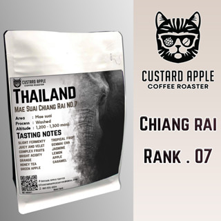 เมล็ดกาแฟ Rank7 แม่สรวย เชียงราย (Wash score 86.19)