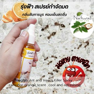 สเปรย์กำจัดมด (200ml.) กลิ่นส้มการบูร ผลิตจากสารสกัดธรรมชาติ