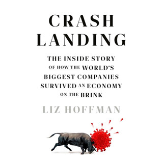 หนังสือภาษาอังกฤษ Crash Landing by Liz Hoffman