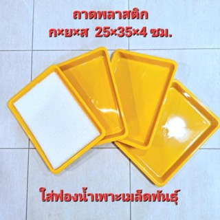 ถาดเพาะเมล็ด(สีเหลือง) ใส่ฟองน้ำปลูกผักไฮโดรโปรนิกส์