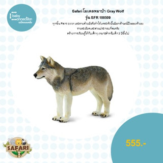 โมเดลหมาป่าGray Wolf รุ่นSFR100509