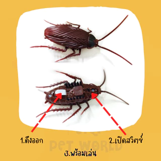 🔥(ส่งด่วน/ส่งไว) ของเล่นแมว แมลงสาบ หนู แมงมุม วิ่งอัตโนมัติ สัตว์เลี้ยง หนูบังคับ หนูไฟฟ้า (Y041)