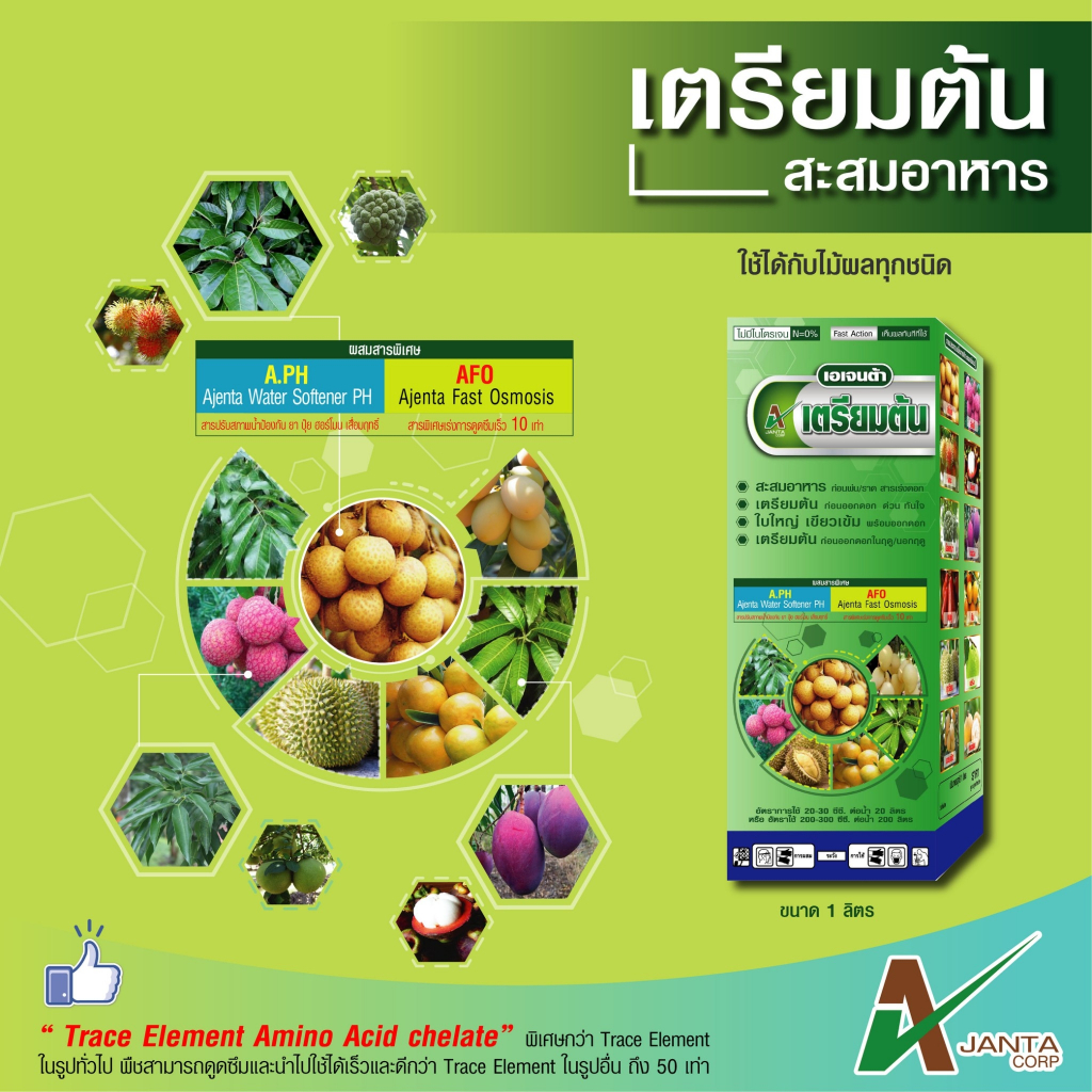 เตรียมต้น เอเจนต้า เร่งสะสมอาหาร ก่อนพ่น ราดสาร เร่ง ใบใหญ่ เขียวเข้ม พร้อมออกดอก (ขนาด 250 ซีซี.)