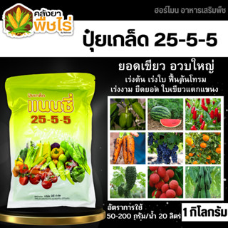 🌽 แนนซี่ 25-5-5 (ปุ๋ยเกล็ดผง) 1กิโลกรัม เร่งงาม ยืดยอด แตกแขนง