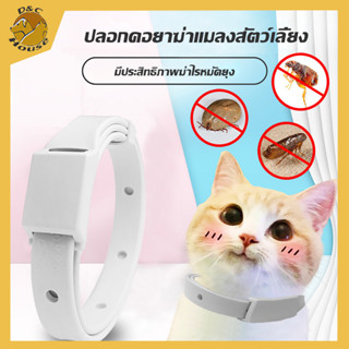 D&amp;C House ปลอกคอกันเห็บ หมัด ยุง สุนัข แมว กันน้ำ ป้องกัน Flea and tick collar