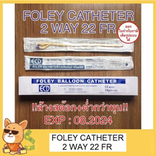 Foley Catheter 2 way เบอร์ 22 สายสวนปัสสาวะ 2 ทาง ใกล้หมดอายุ