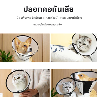 yoyopet : ปลอกคอกันเลียสัตว์เลี้ยง คอลล่ากันเลีย แมว สุนัข ป้องกันการเลียแผล มีหลายขนาดให้เลือก