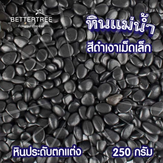หินดำกลมเม็ดเล็ก 250 กรัม หินกระบองเพชร หิน หินสี