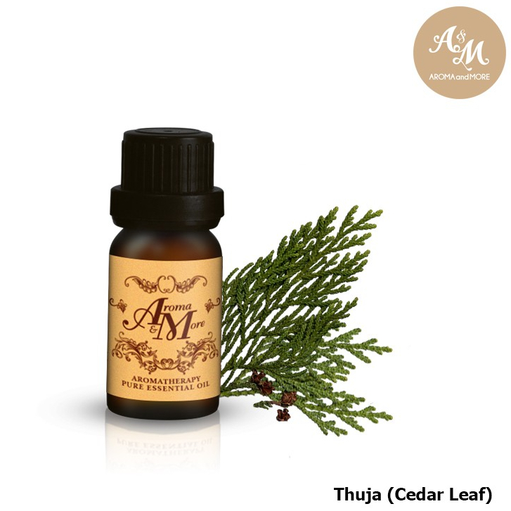 Aroma&More Thuja (Cedar Leaf, White Cedar)100% Pure Essential Oil Austria น้ำมันหอมระเหยทูจา ออสเตรี