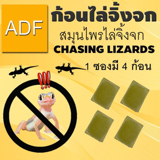 ก้อนไล่จิ้งจกสมุนไพรไล่จิ้งจก CHASING LIZARDS