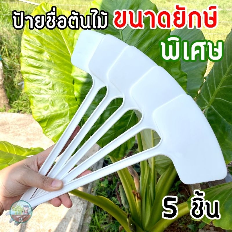 ป้ายชื่อต้นไม้ ขนาดยักษ์พิเศษ 36 ซม สีขาว (แพ็ค 5 ชิ้น) พลาสติกหนา เขียนได้หน้าเดียว กันน้ำ คงทน ขนาดใหญ่พิเศษ