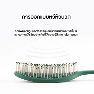 แปรงหวีผมลดผมขาด หลุดร่วง หวีผมตอนเปียกได้ รูปทรงหวีแบบเมมโมรี่ยืดหยุ่นตามรูปทรงหนังศรีษะ ดับเบิ้ลซี ไม่ดึงผม