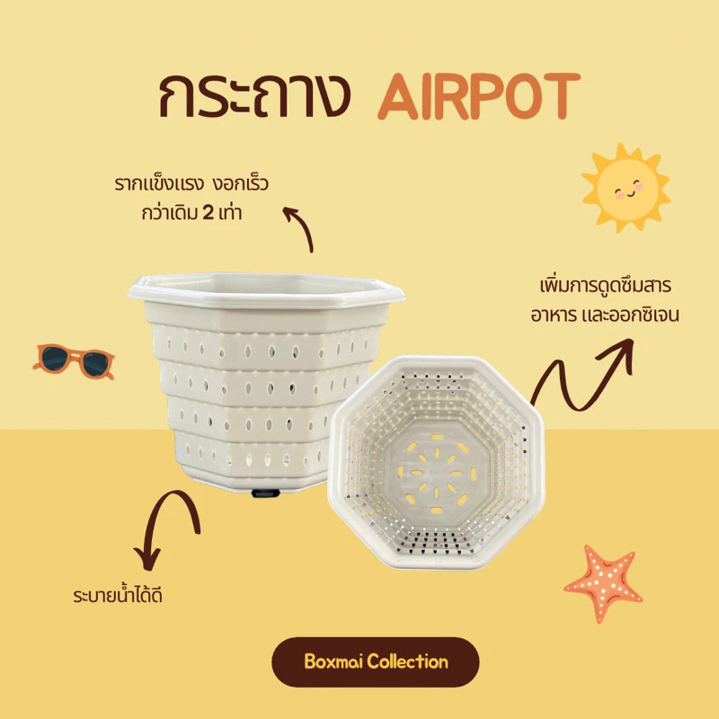 ‼️ถูก และหนา‼️ กระถางต้นไม้พลาสติก Air Pot ขนาด 10-15 นิ้ว เร่งราก