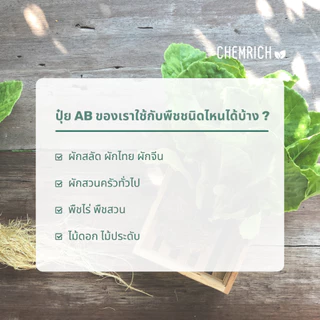500ml ปุ๋ย AB ปุ๋ยไฮโดรโปนิกส์ ปุ๋ยน้ำ ผักสลัด ผักไทย กัญชา สมุนไพร ปุ๋ยเอบี สารอาหารครบทุกชนิด / Two-part fertilizer