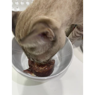 [อาหารแมว] Pet8(เพ็ทเอท) อาหารแมวเปียกกระป๋อง ทูน่า/ปลาซาร์ดีน ในเยลลี่ ขนาด 400g