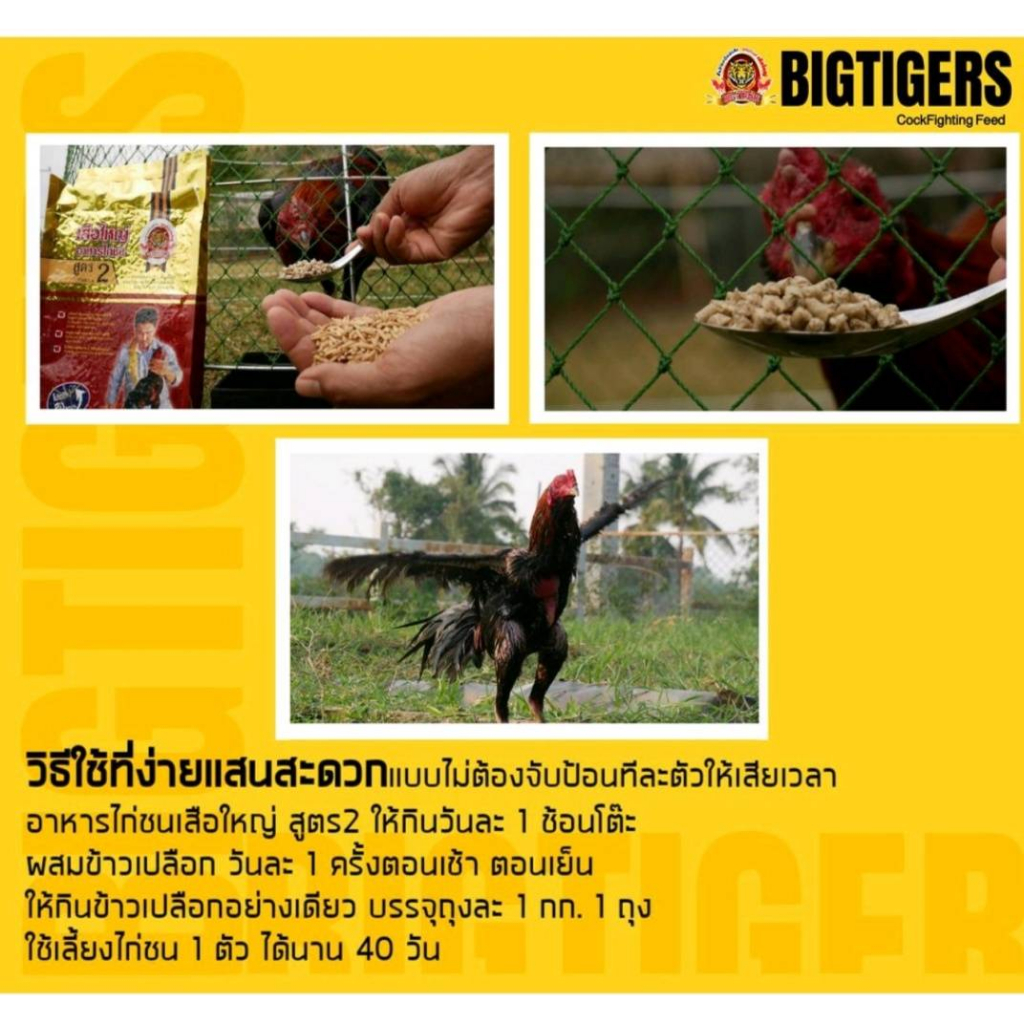 อาหารไก่ชนเสือใหญ่ สูตร2 พรีเมี่ยม สำหรับไก่ชนอายุ 7 เดือนขึ้นไป บรรจุ 1 kg