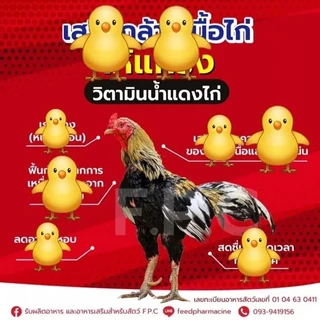 วิตามินน้ำแดง ”ไก่ชน” รุ่นที่ 4 (น้ำแดง+โปรตีนจากกรดอะมิโน)