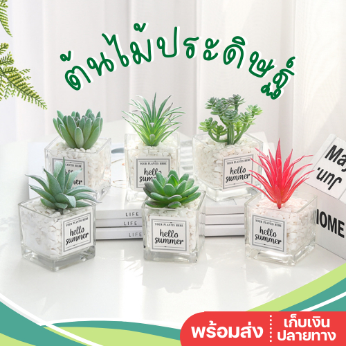 พร้อมส่ง ต้นไม้ปลอม พร้อมกระถางแก้ว ตั้งโต๊ะ กุหลาบหินปลอม ตะบองเพชรปลอม กระบองเพชรปลอม ต้นไม้ประดิษฐ์