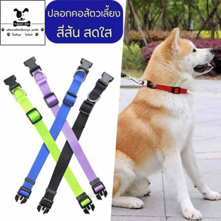 ปลอกคอสุนัข ปลอกคอน้องหมา ปลอกคอหมา ปลอกคอสัตว์เลี้ยง DogCollar ปลอกคอสุนัขแบบผ้า สีสันสดใส