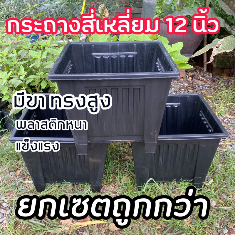 กระถางกุหลาบ กระถางสี่เหลี่ยม 12 นิ้ว สีดำ ทรงสูง มีขา ยกเซต 5,6 ใบ