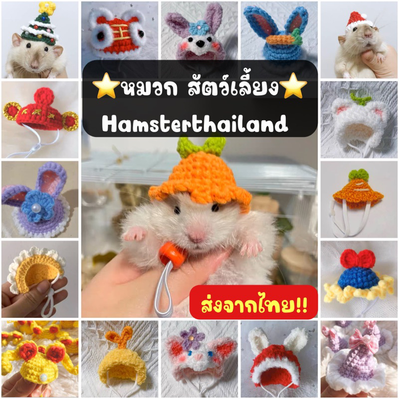 [Hamsterthailand] หมวกแฮมสเตอร์ หมวกสัตว์เลี้ยง สำหรับ ไจแอ้น แฮมสเตอร์ วินเทอร์ไวท์