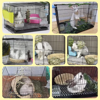 Petcho กรงกระต่าย กรงกระรอก กรงกระต่ายขนาดใหญ่ กรงนก หนูแกสบี้ กรงแกสบี้ กรงสัตว์เลี้ยงอเนกประสงค์ ตาข่ายเหล็กเข้ารหัส