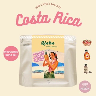 Strawberry Maple Jam เมล็ดกาแฟ Costa Rica อราบิก้า 100% คั่วใหม่ &lt; Light - Medium Roast &gt;