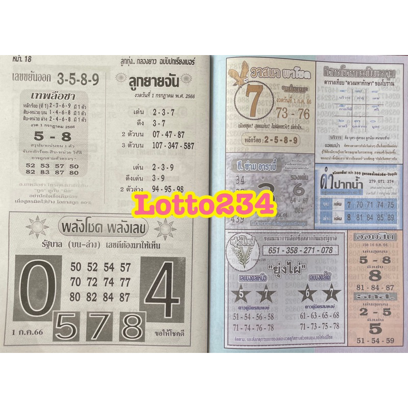 รูปภาพ 8