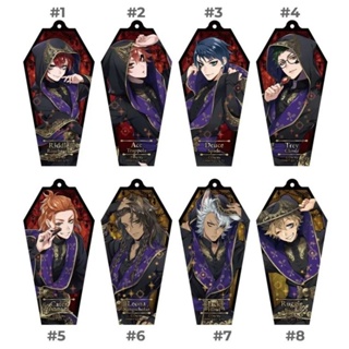 พวงกุญแจทวิสเตด​วันเดอร์แลนด์​ Twiste Wonderland Coffin Acrylic Charms (Ceremonial Robes Box A)