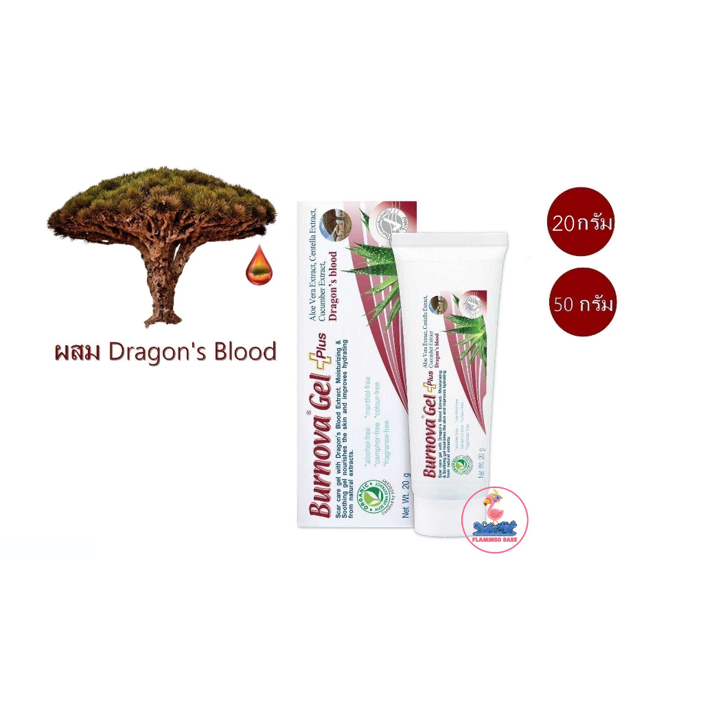 Burnova Gel Plus Dragon's Blood ผลิตภัณฑ์เบอร์โนว่า เจล พลัส ดราก้อนส์ บลัด.